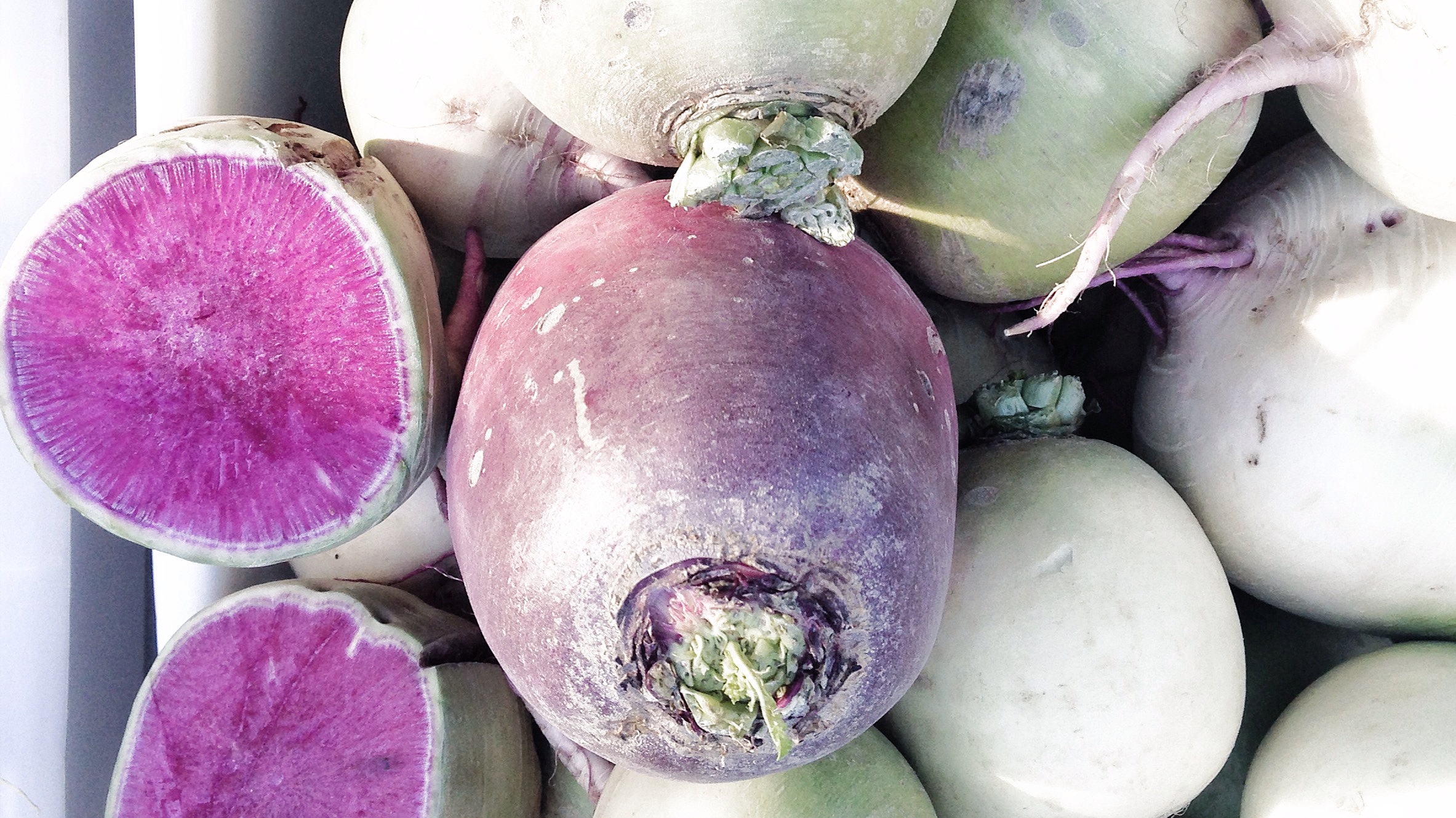 Watermelon_Radish_Market.JPG