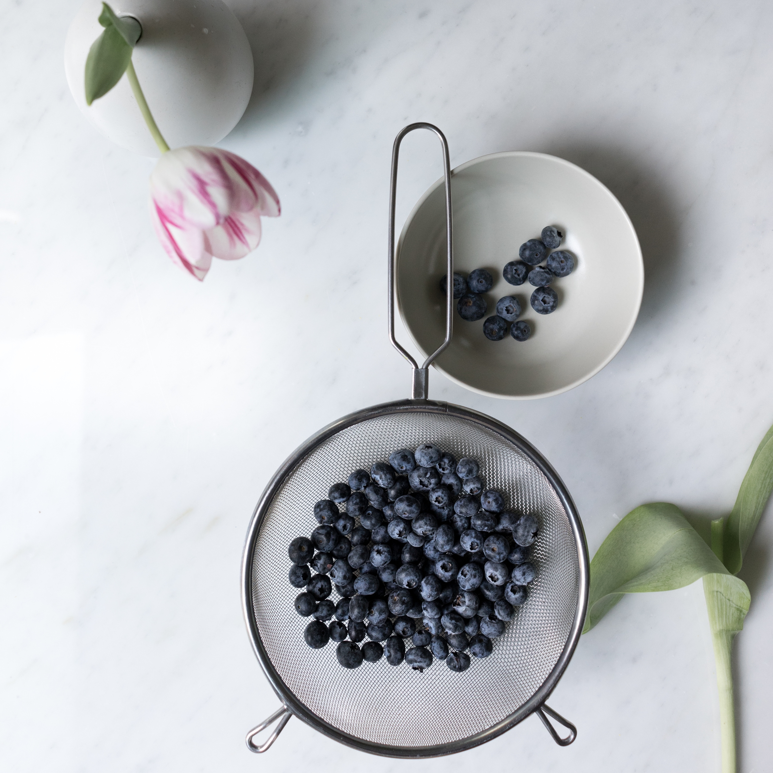 Blueberries-1.jpg