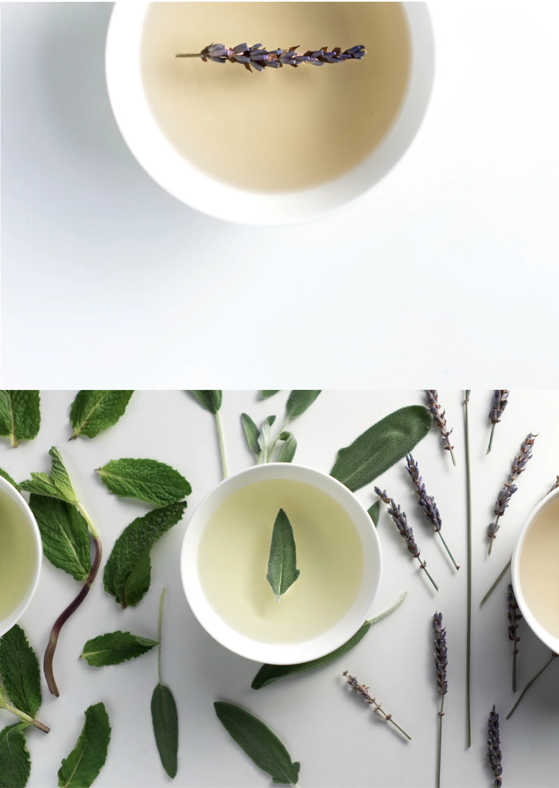 Best Herbs For Skin Care