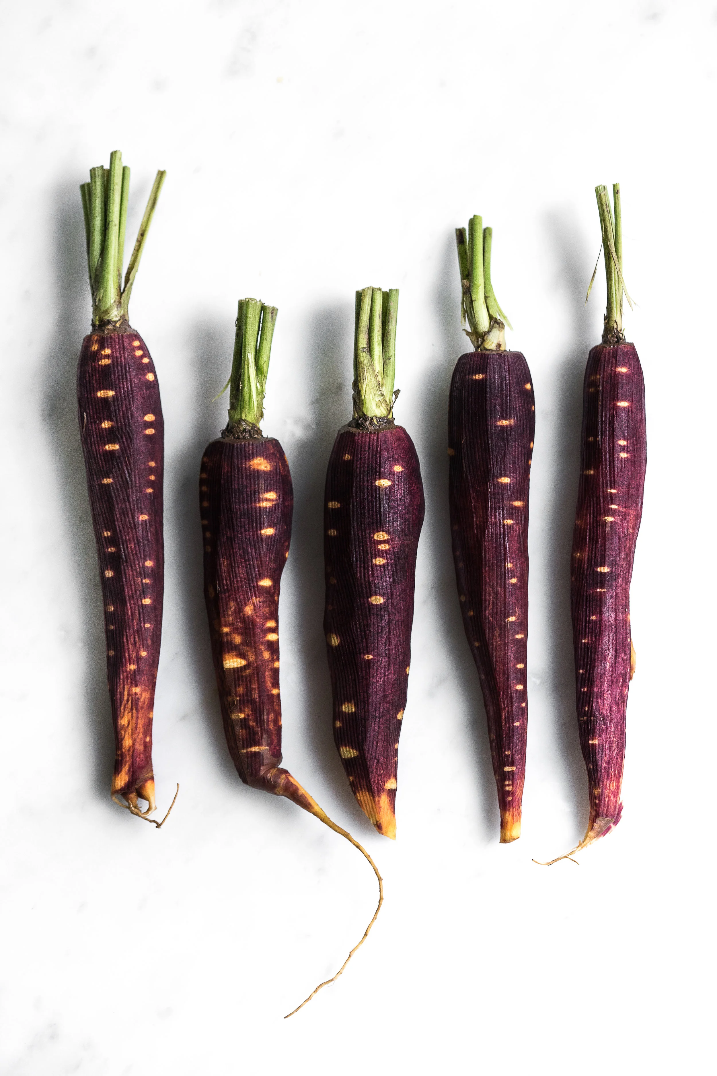 Carrots-1.jpg