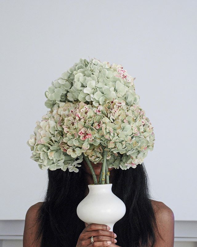 Five years ago today. A different time, when I had more time. A different place, when I had less space. I miss having more time for creative play with hydrangeas. I need more of this in my life. 💚 ⠀⠀⠀⠀⠀⠀⠀⠀⠀
⠀⠀⠀⠀⠀⠀⠀⠀⠀
⠀⠀⠀⠀⠀⠀⠀⠀⠀
⠀⠀⠀⠀⠀⠀⠀⠀⠀
⠀⠀⠀⠀⠀⠀⠀⠀⠀
⠀⠀