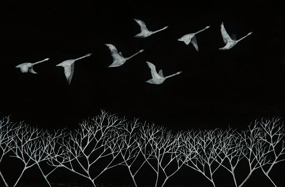Ghost Birds 2 detail