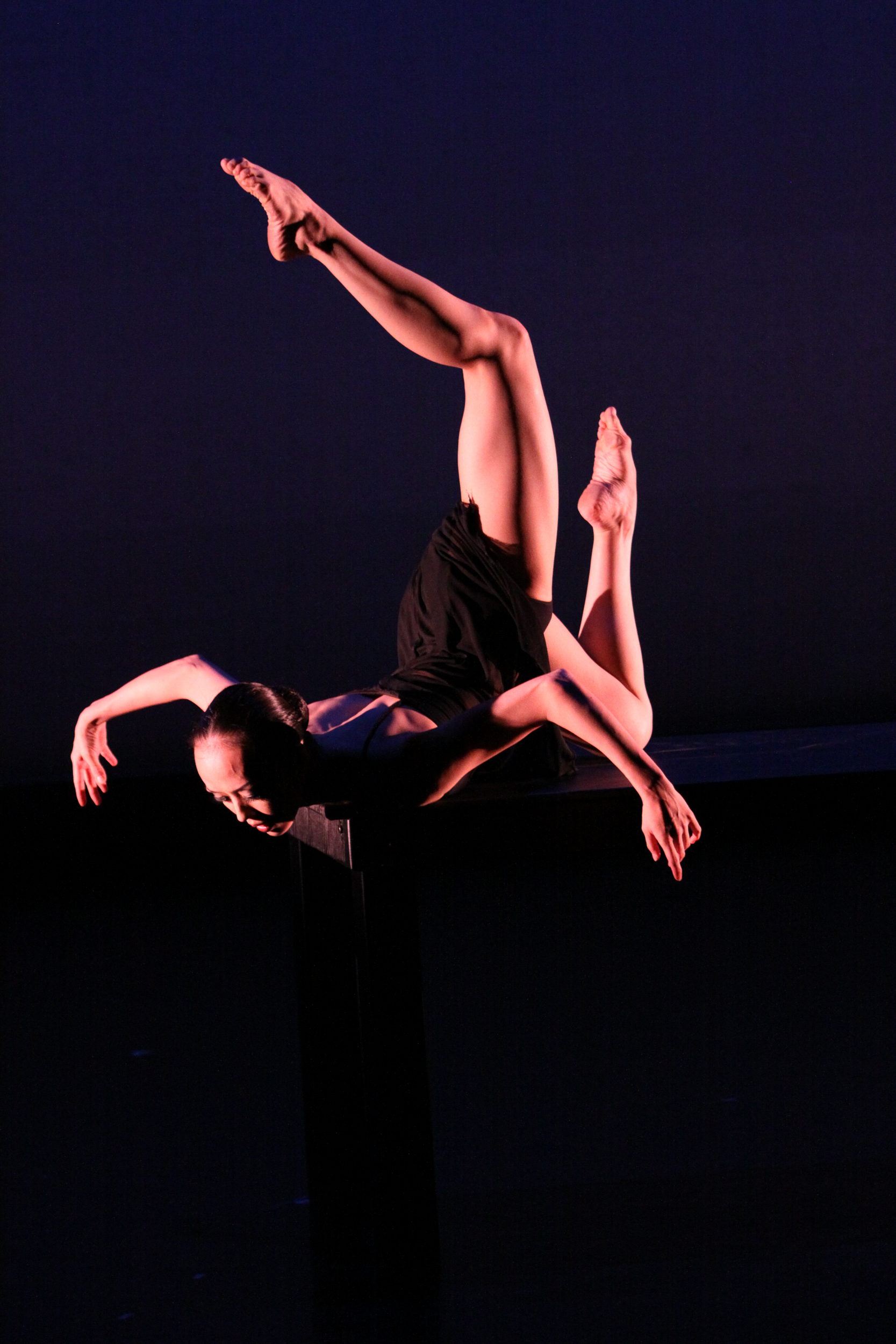  LAFA &amp; Artists Dance Company (U.S. debut). Jacob’s Pillow Dance Festival, 2009. 