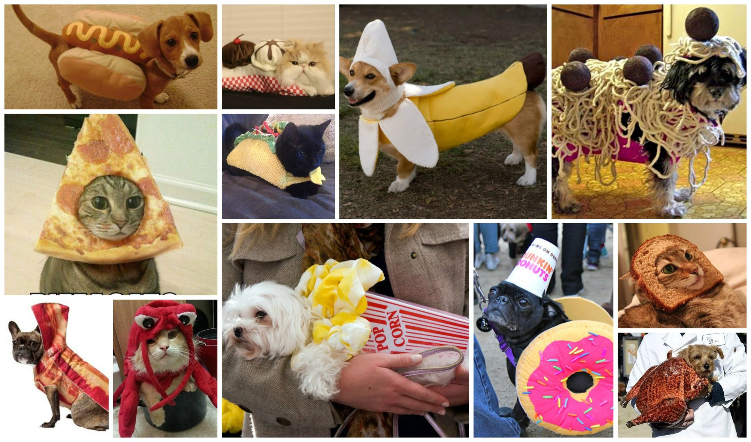 Collage EATING PETS (1261).jpg