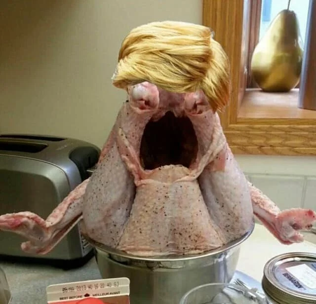 TRUMP as a roast chicken.jpg