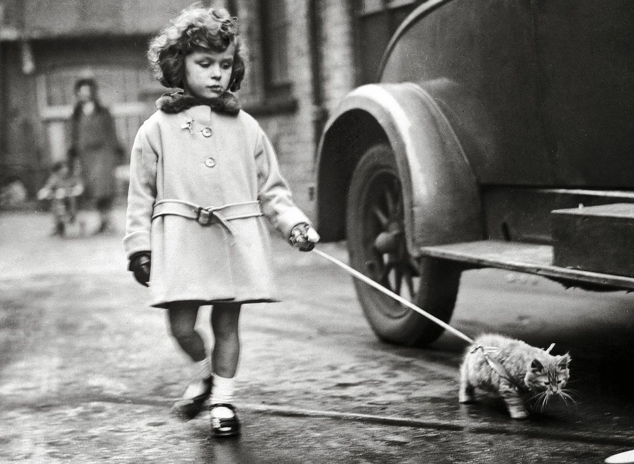 SYBIL and detective cat.jpg