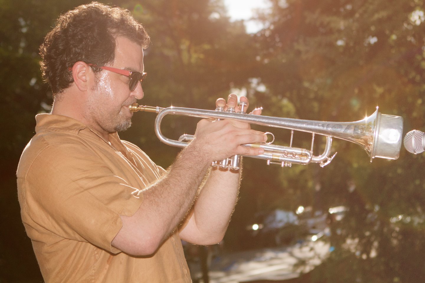 Sunny Trumpet.jpg