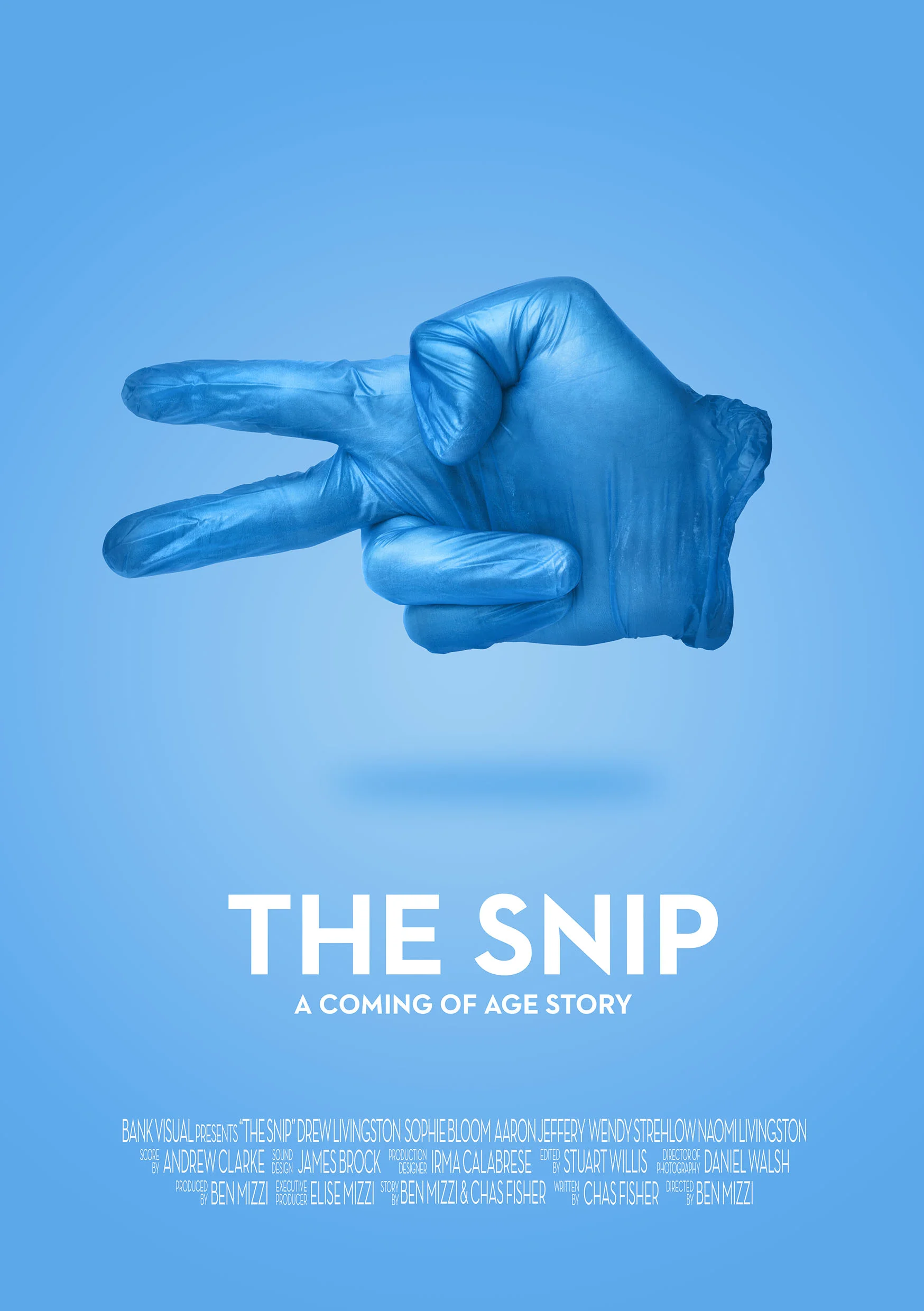 The Snip Poster-sml.jpg