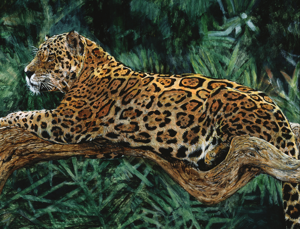 JAGUAR