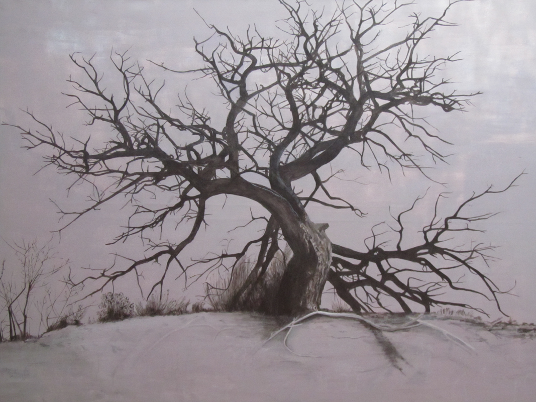TREE THAT FOUND ME