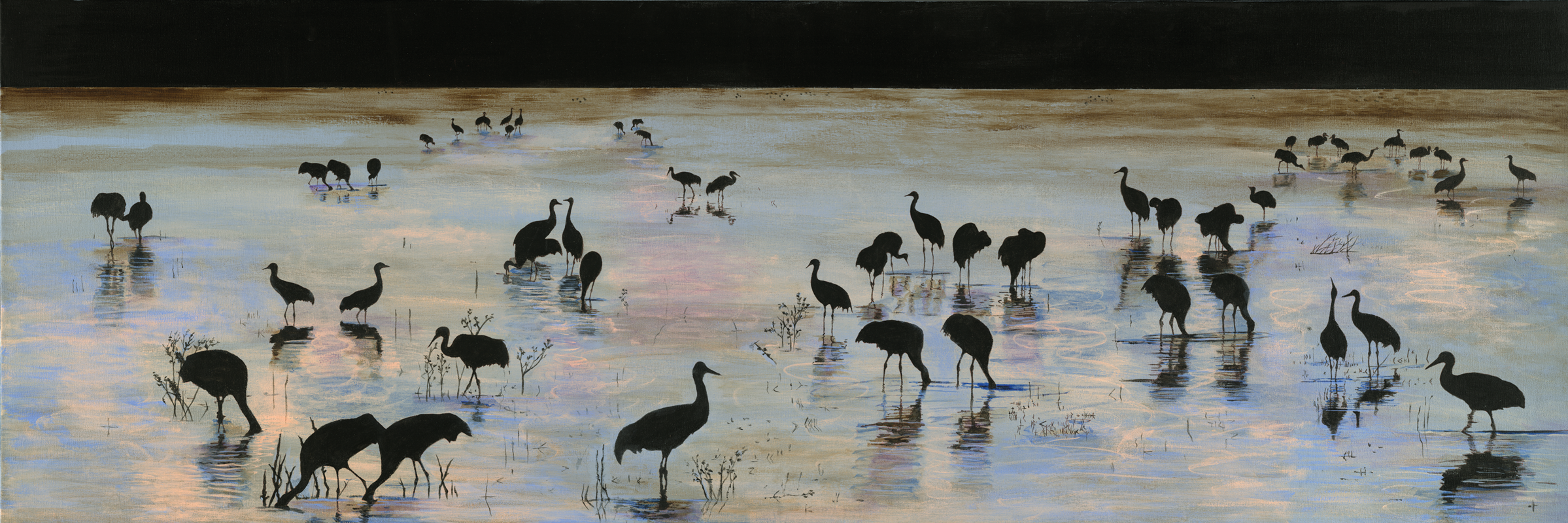 SANDHILL CRANES #1 (BOSQUE DEL APACHE)