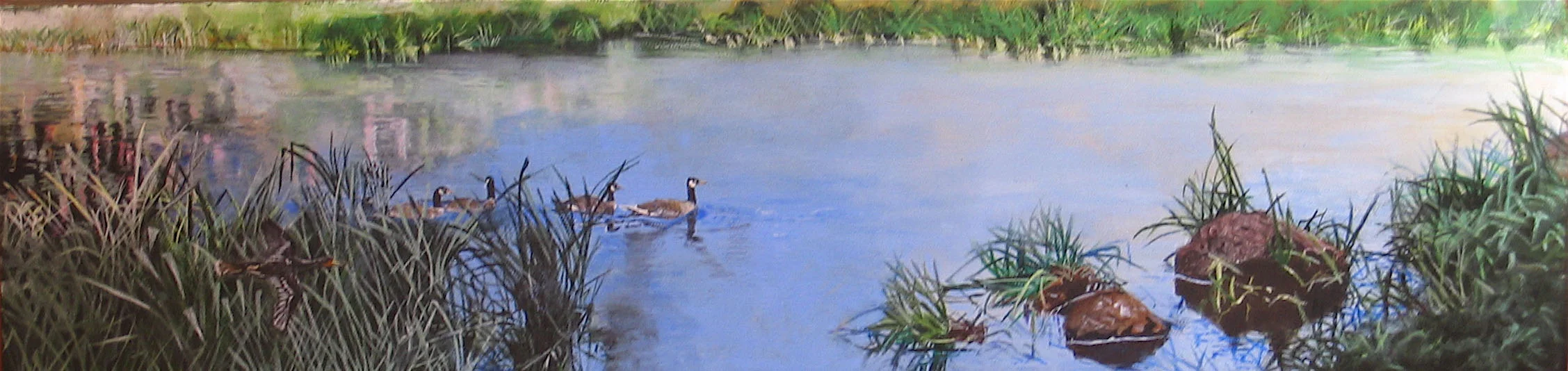 CANADIAN GEESE