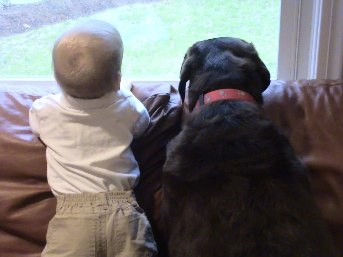 Sophie Anderson 2003-2016, our angel on loan from heaven.