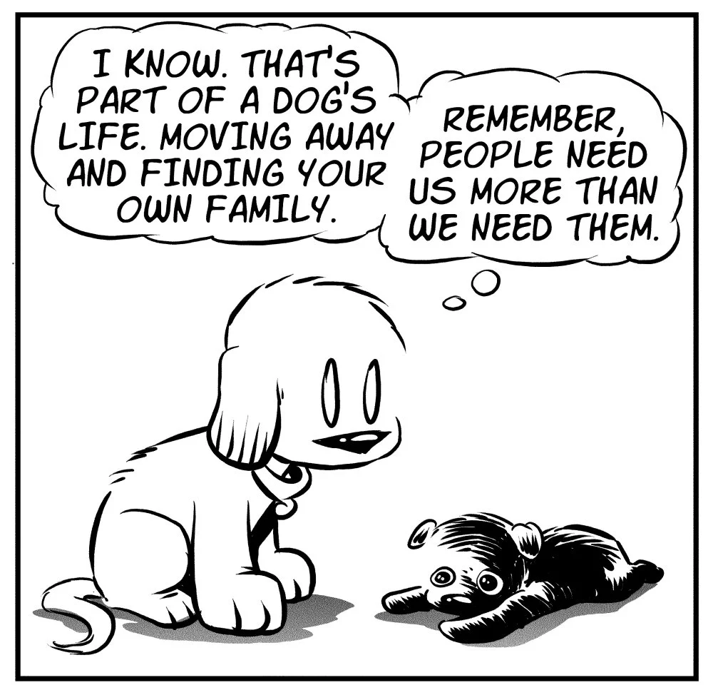 foster-dogs-2.jpg