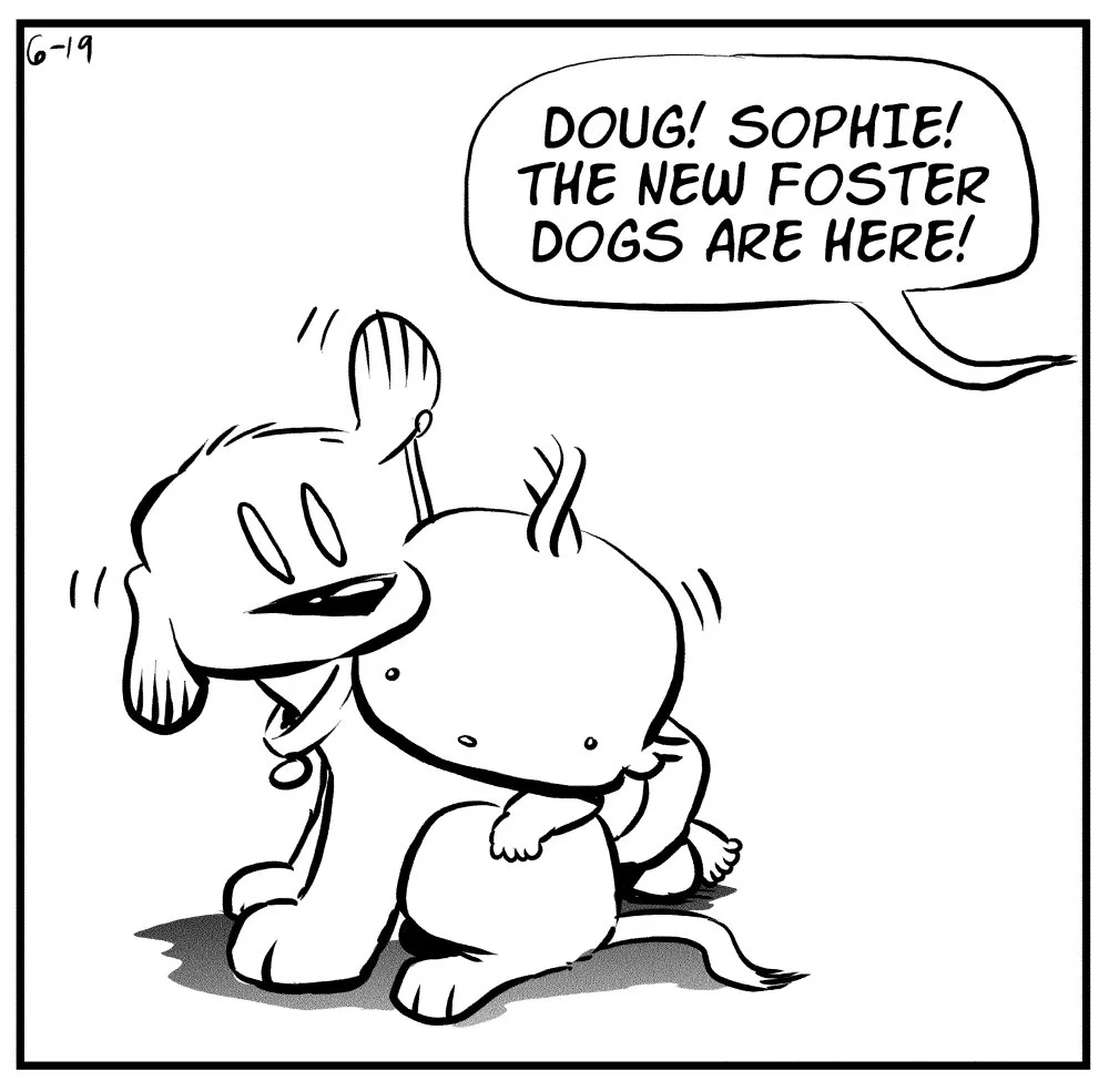 foster-dogs-1.jpg