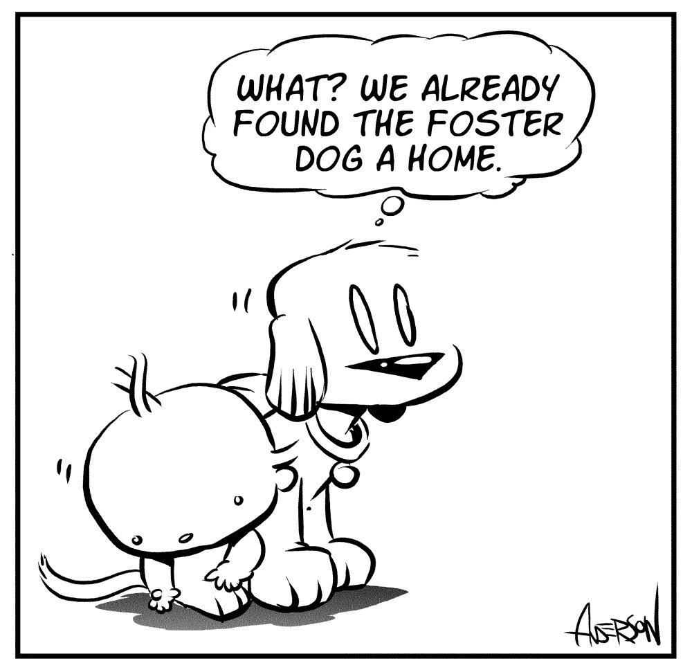 foster-dogs-2.jpg