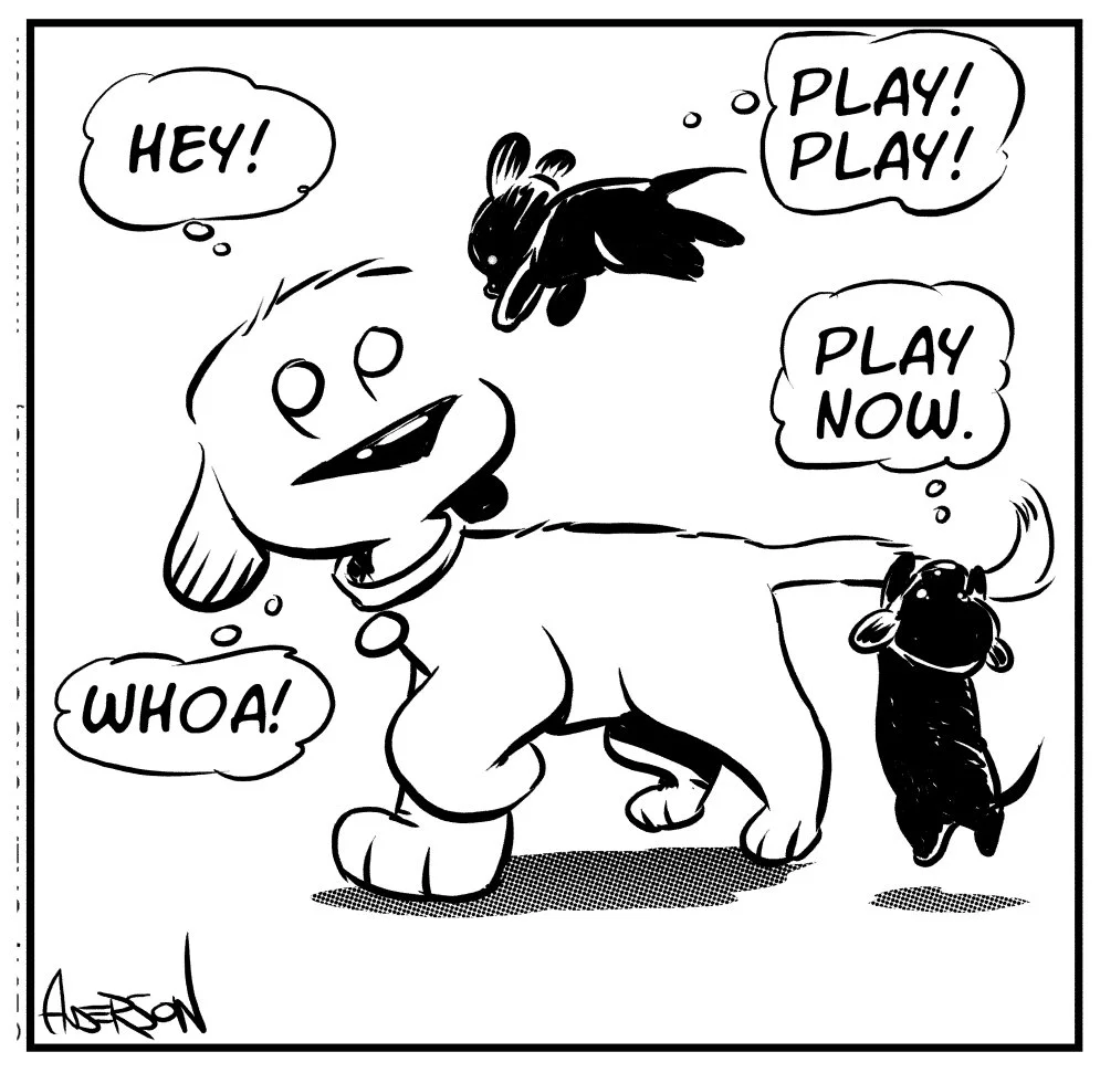 foster-dogs-2.jpg