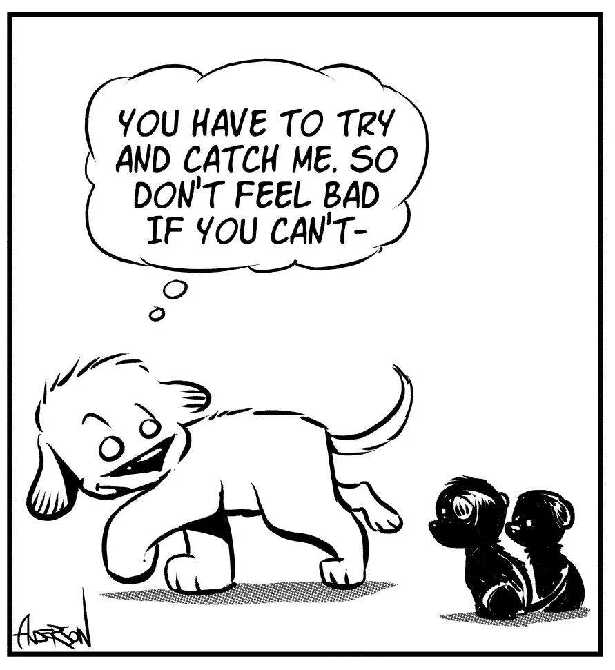 foster-dogs-2.jpg