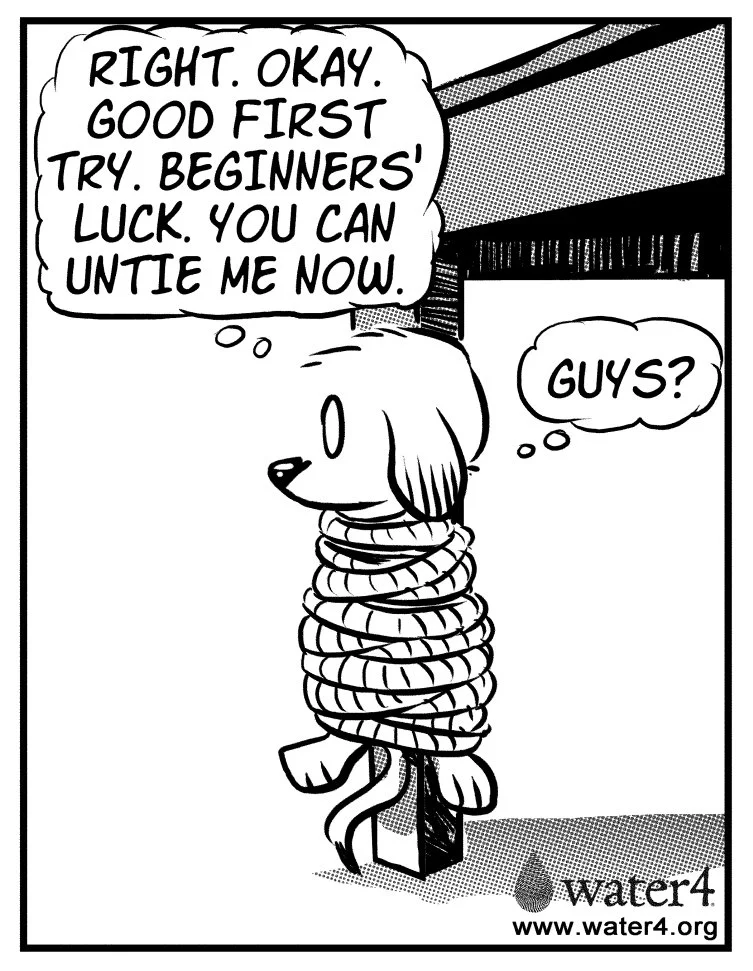 foster-dogs-4.jpg