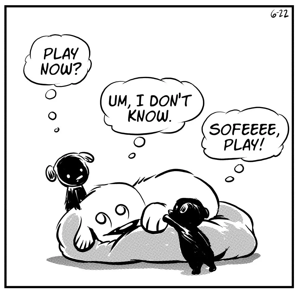 foster-dogs-1.jpg