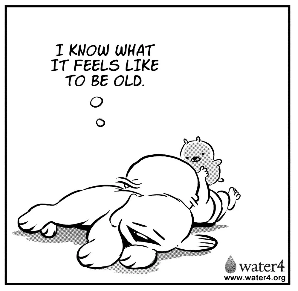foster-dogs-3.jpg