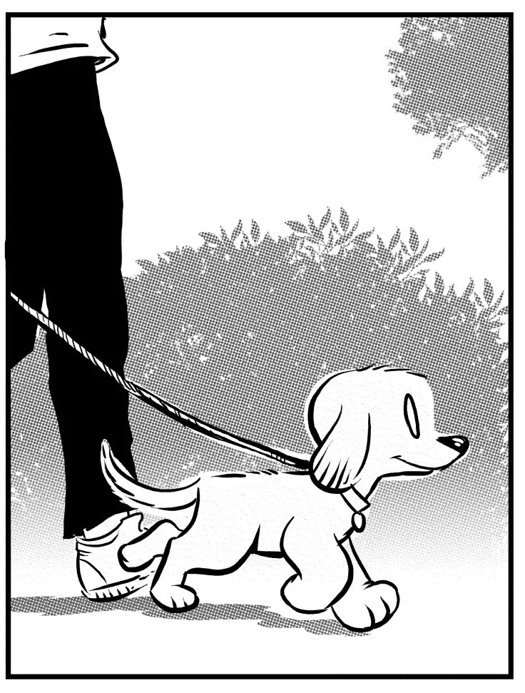 foster-dogs-3.jpg