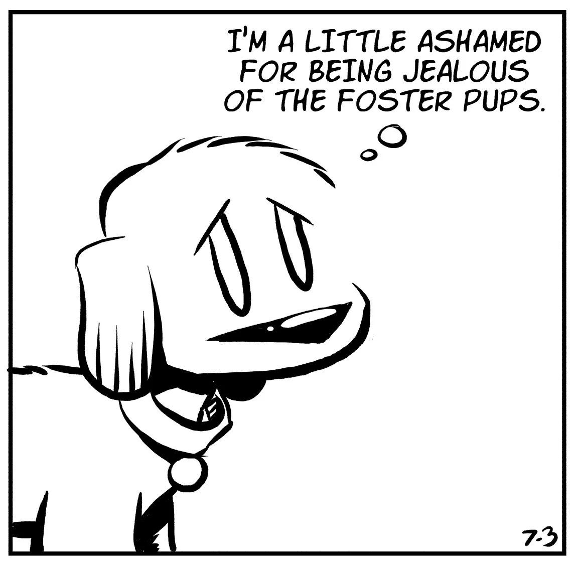 foster-dogs-1.jpg