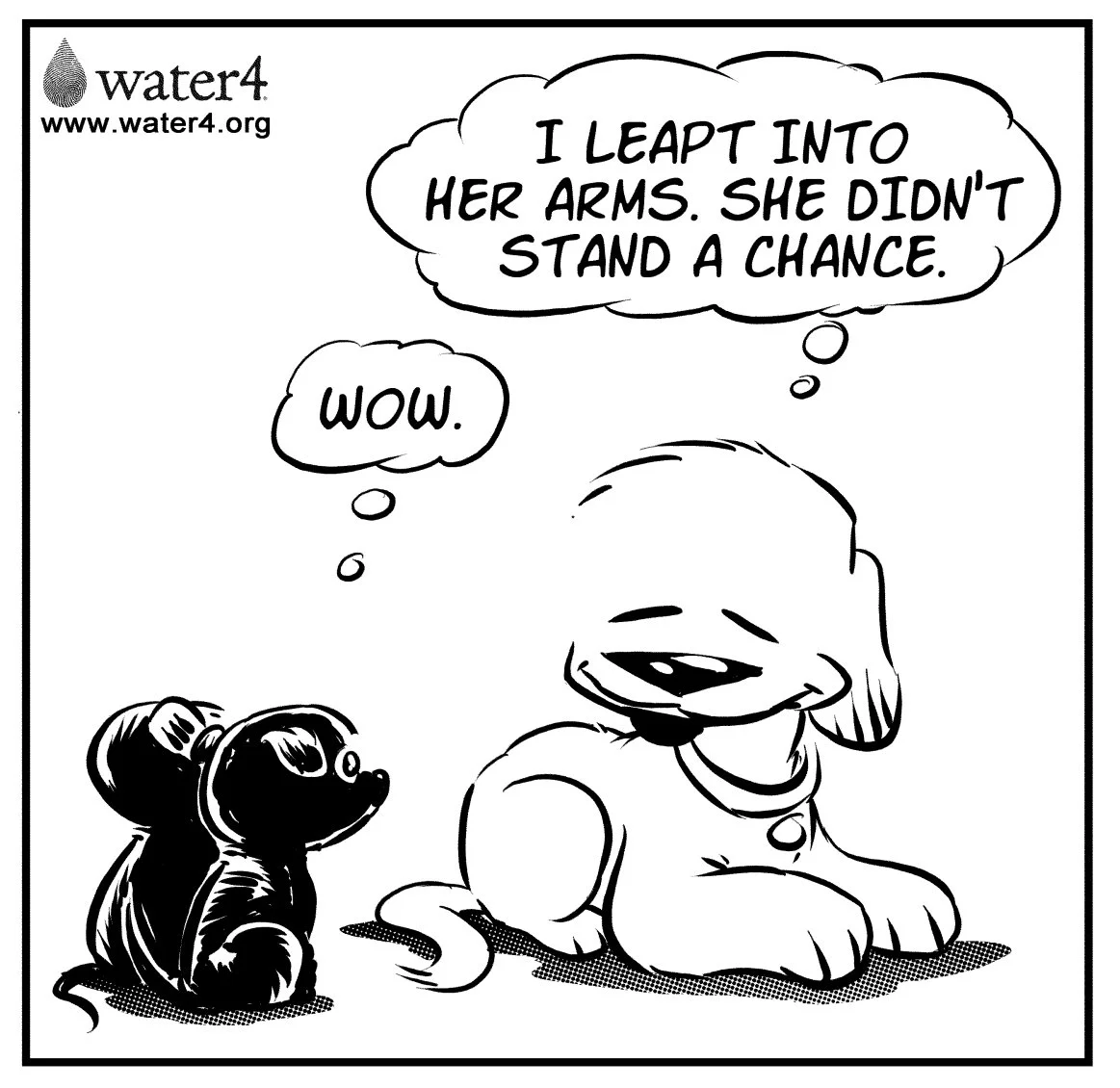 foster-dog-2.jpg
