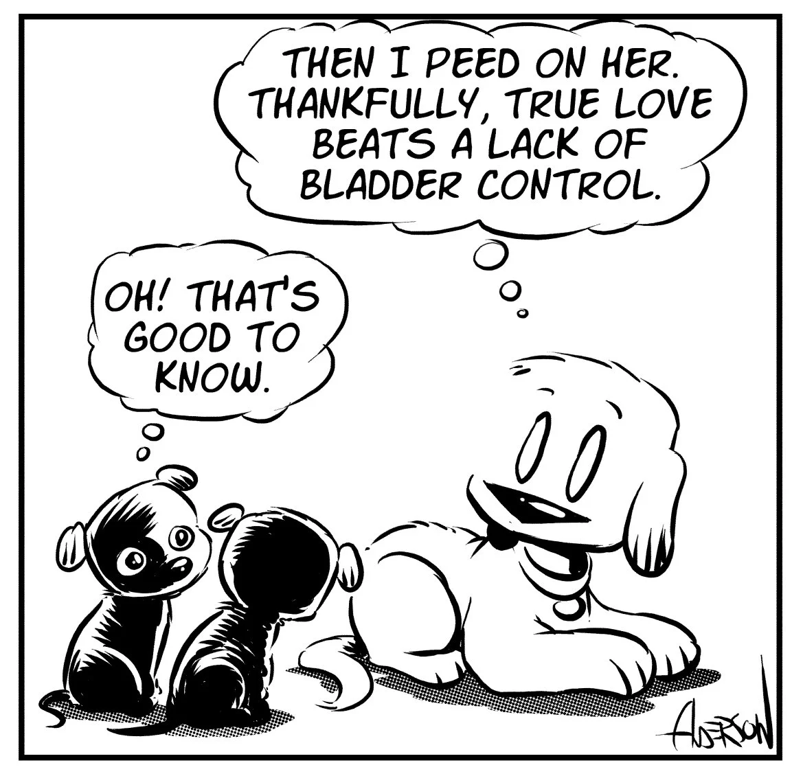 foster-dog-3.jpg