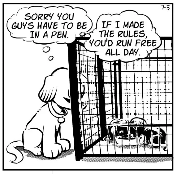 crate-training-1.jpg