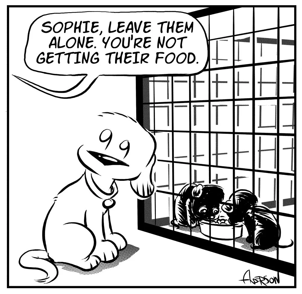 crate-training-2.jpg