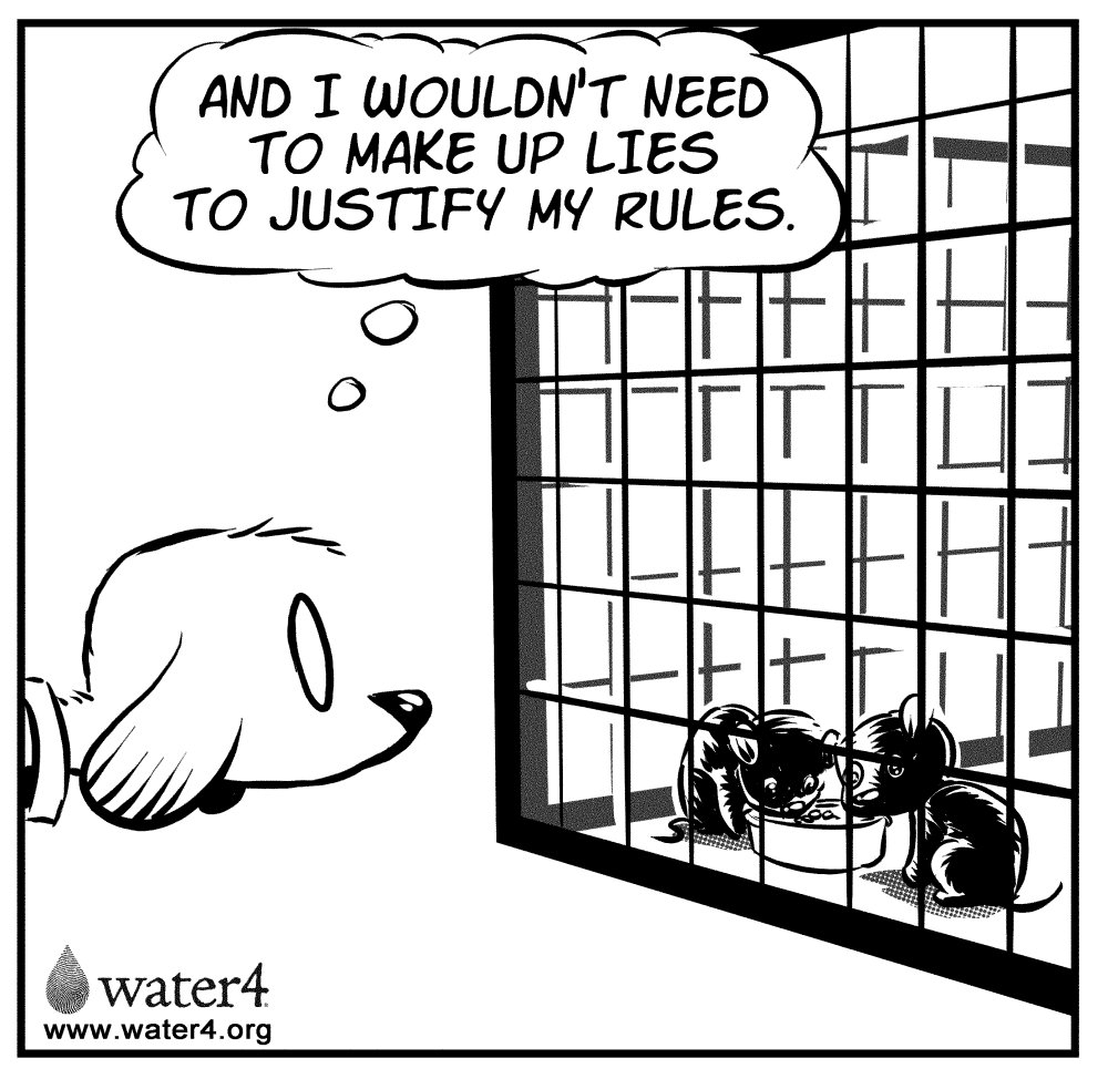 crate-training-3.jpg