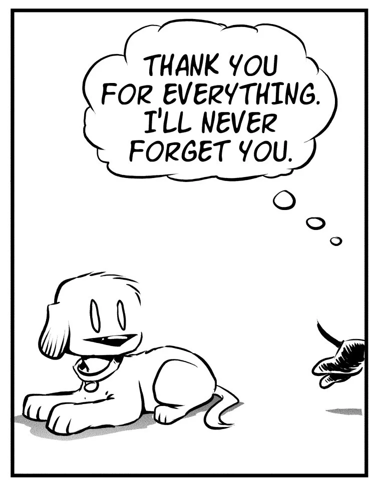 rescue-dogs-3.jpg