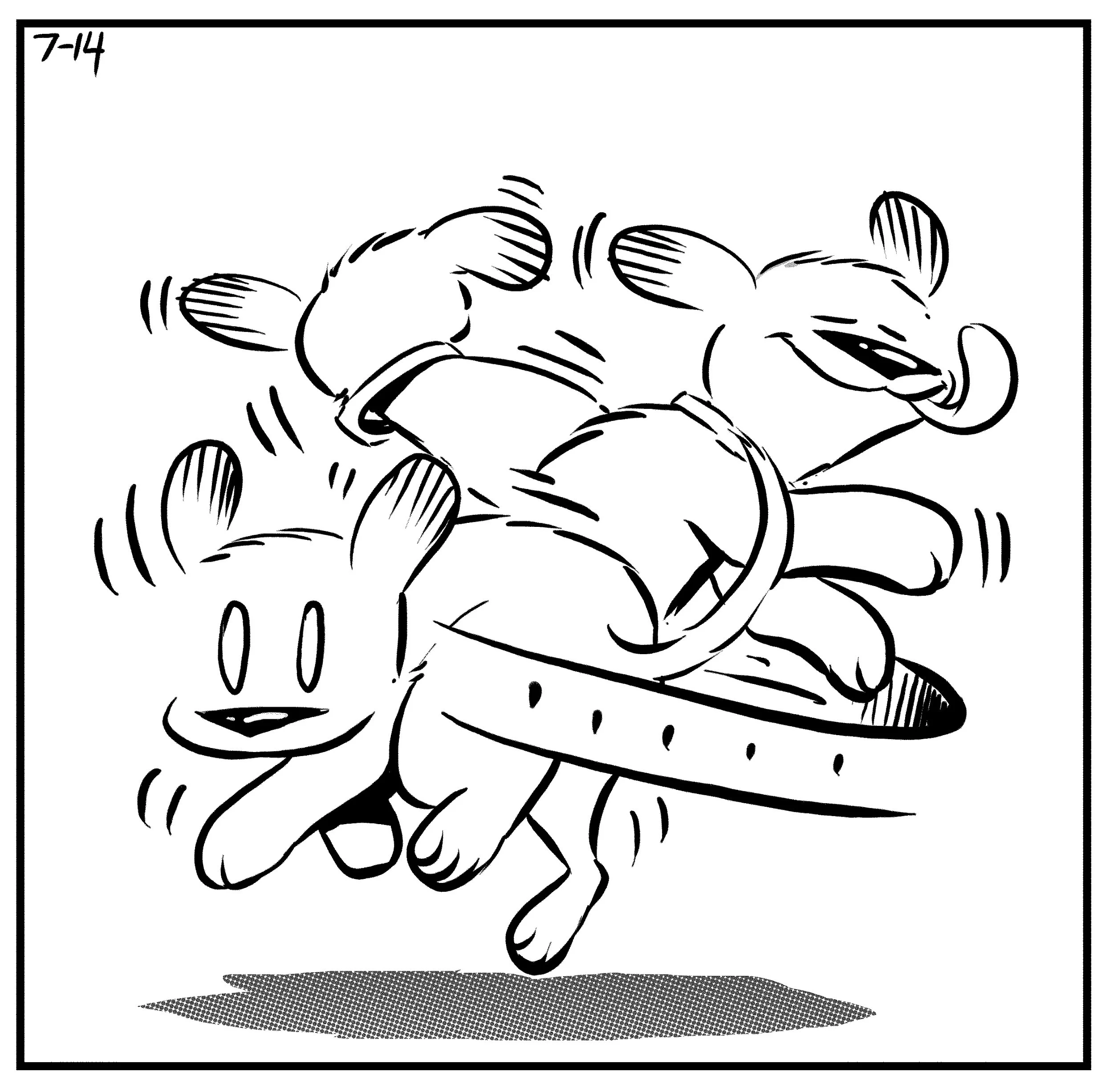 spinning-dog-1.jpg
