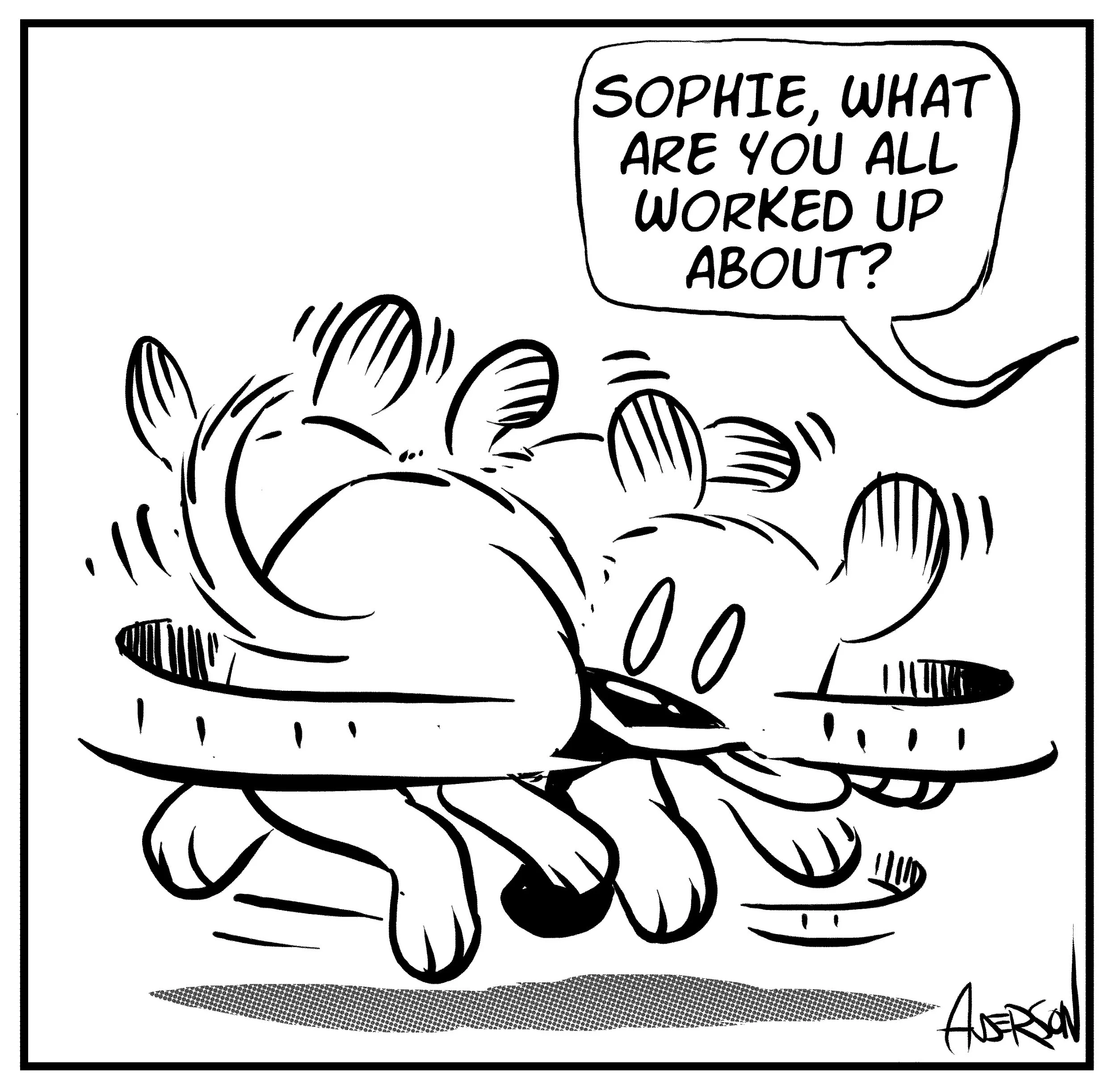 spinning-dog-2.jpg
