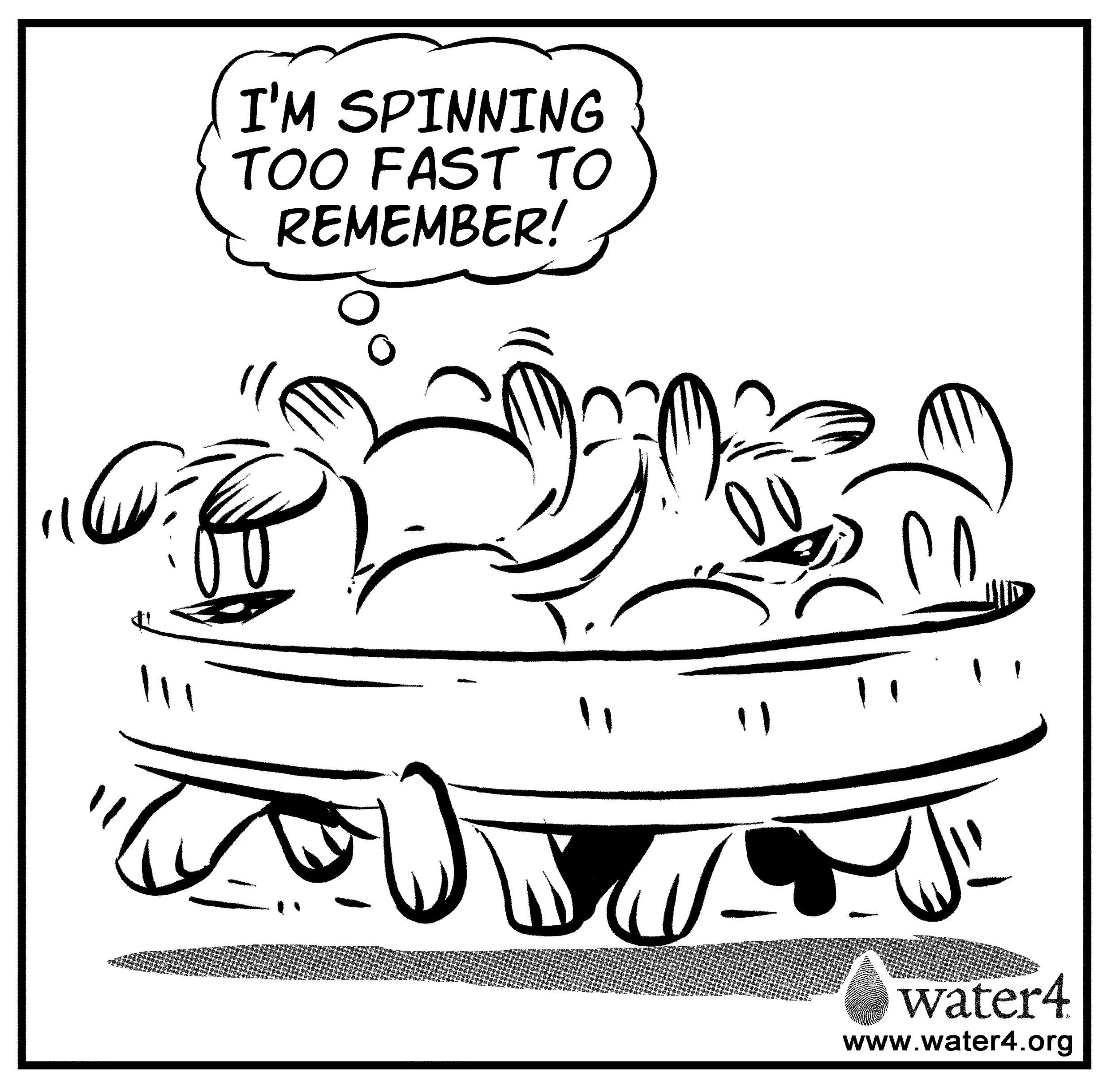 spinning-dog-3.jpg