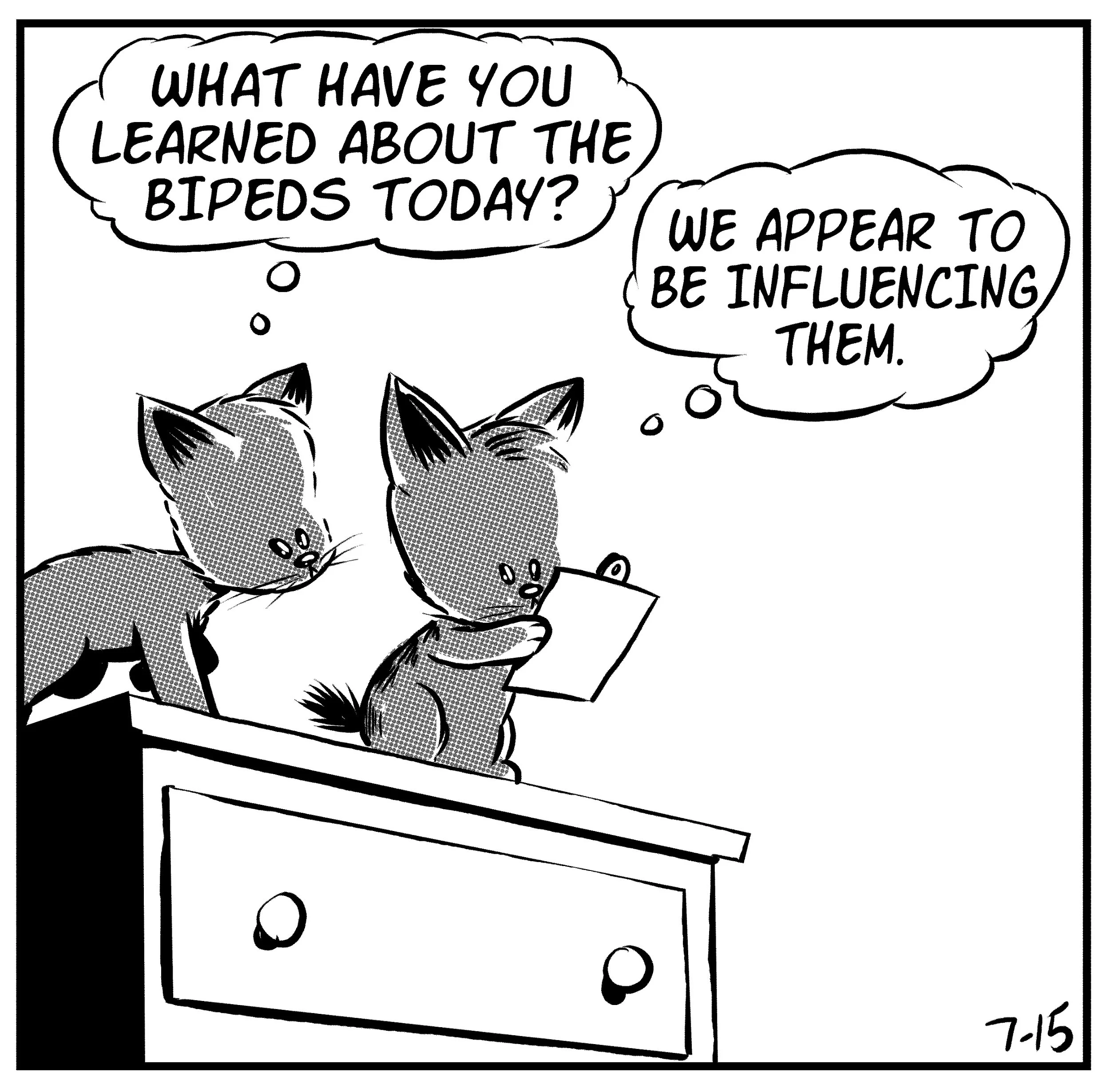 cat-comic-1.jpg