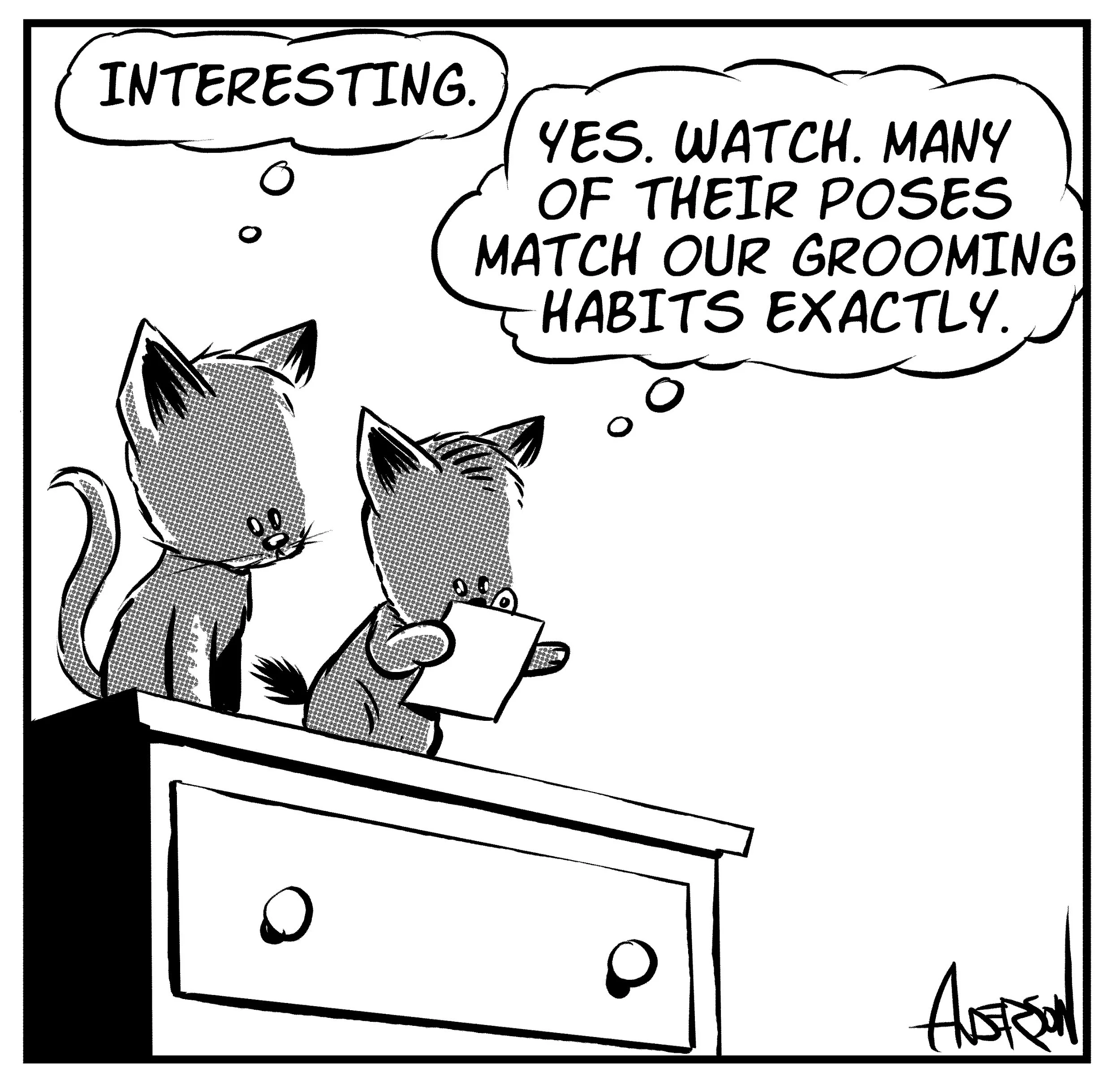 cat-comic-2.jpg