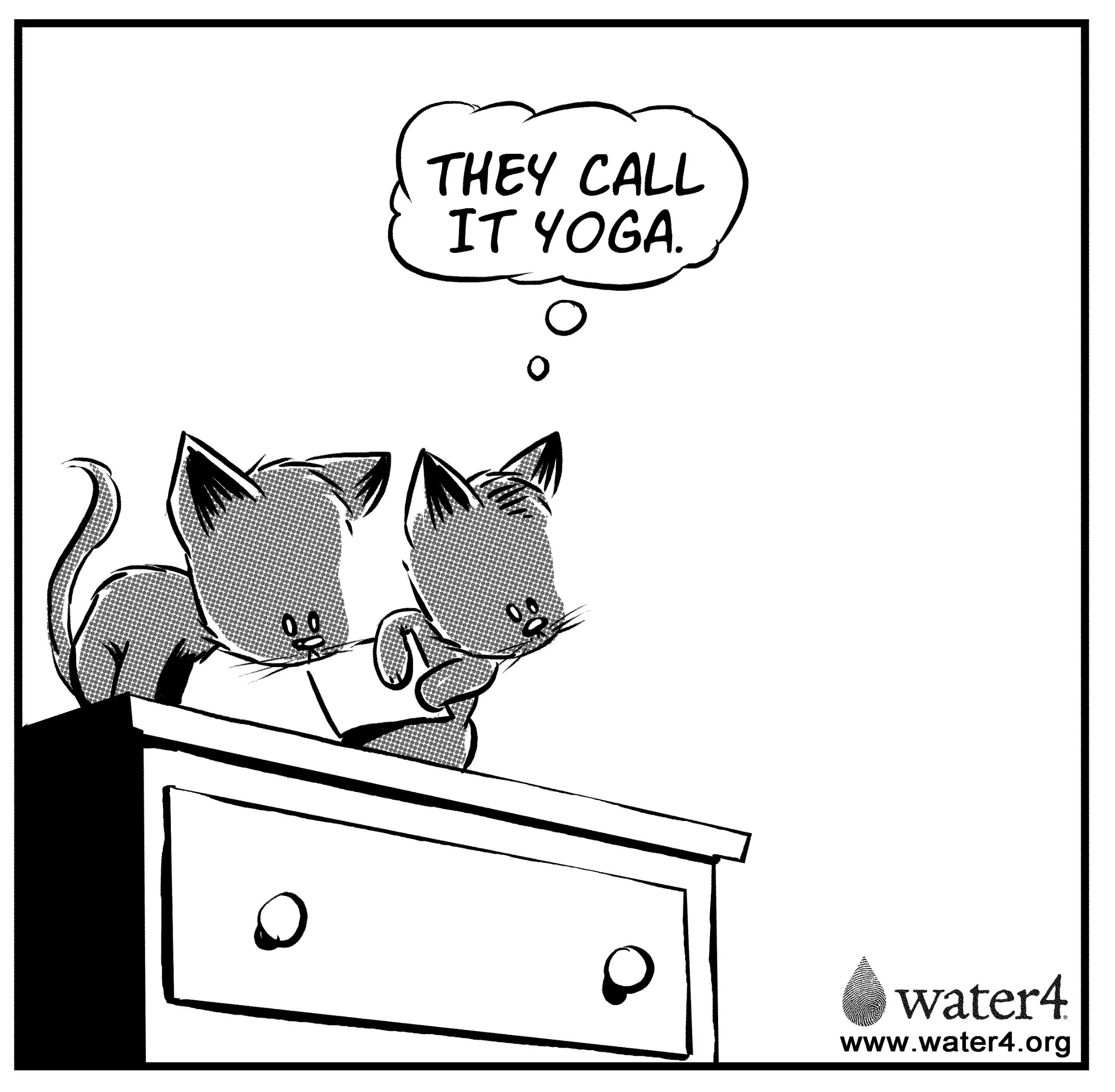 cat-comic-3.jpg