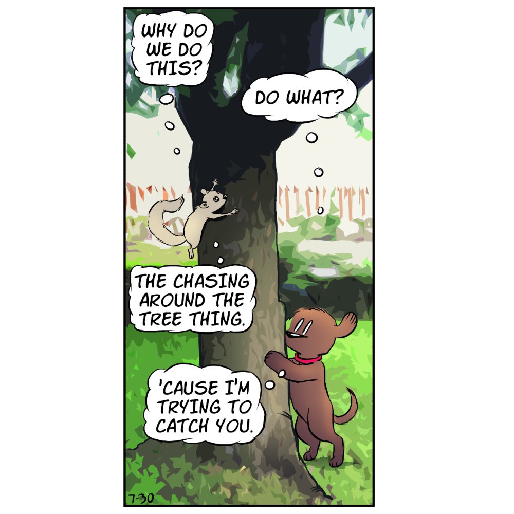 dog-squirrel-chase-1.jpg