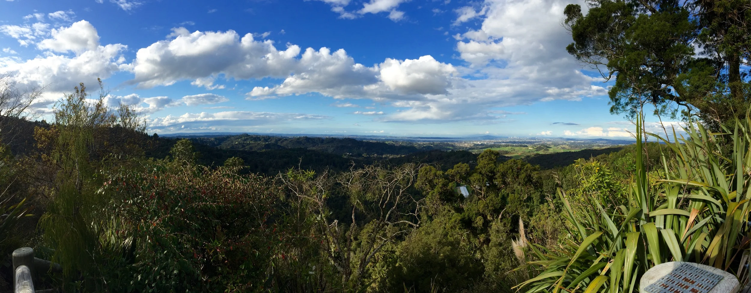 A World of Assumptions