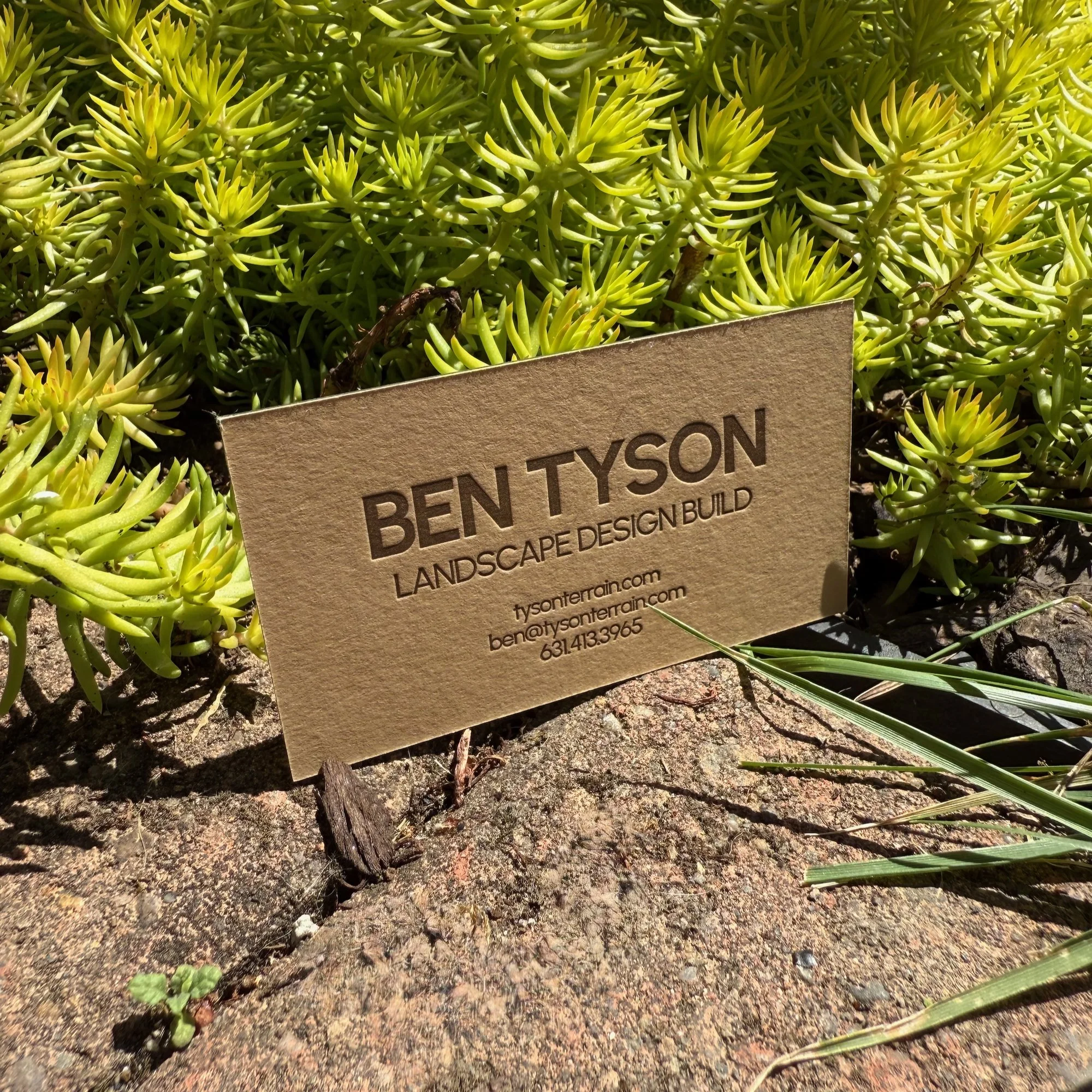  Espresso ink on Colorplan Harvest paper for Tyson Terrain. 