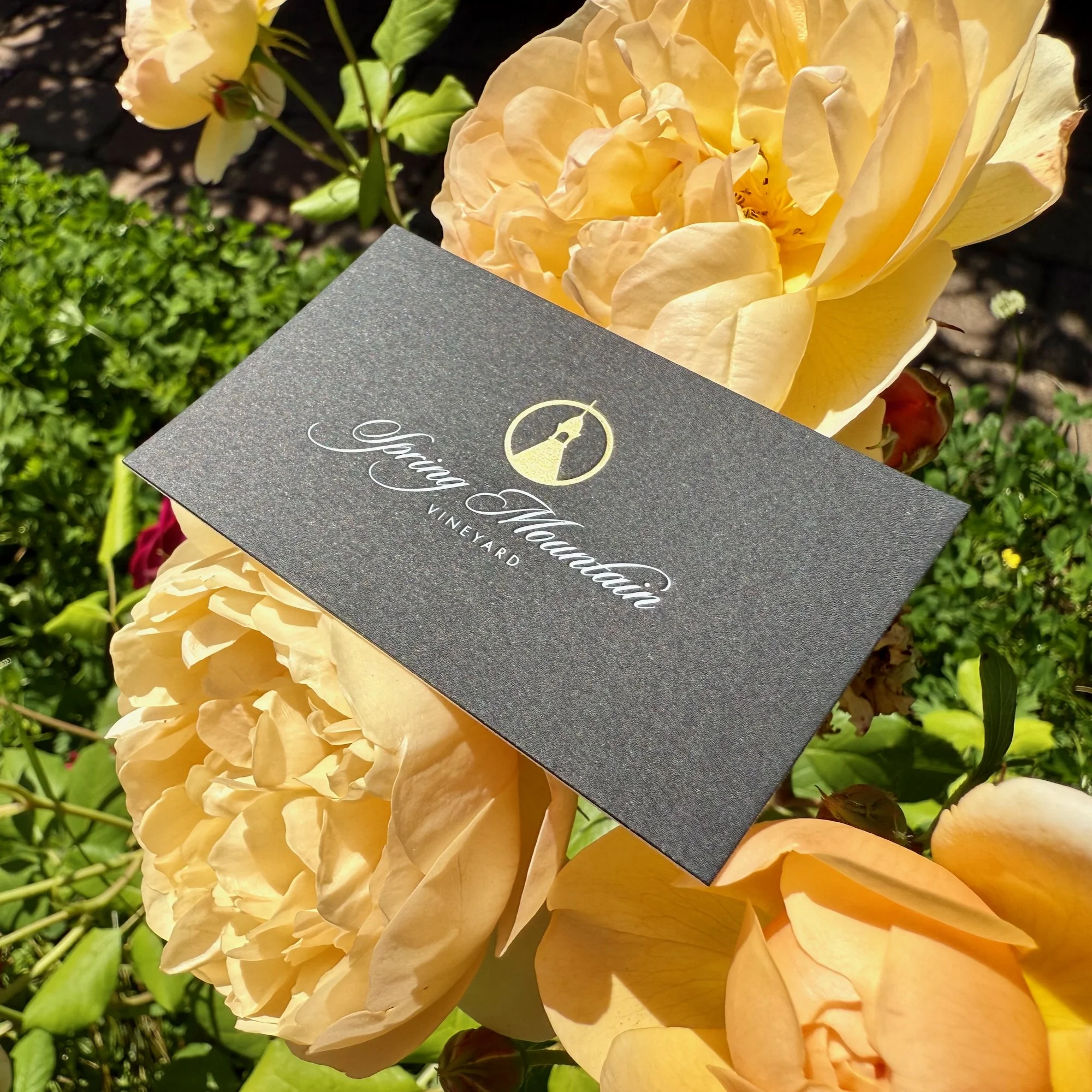  Gold Satin and White foils on Colorplan Ebony paper for Spring Mountain Vineyard. 