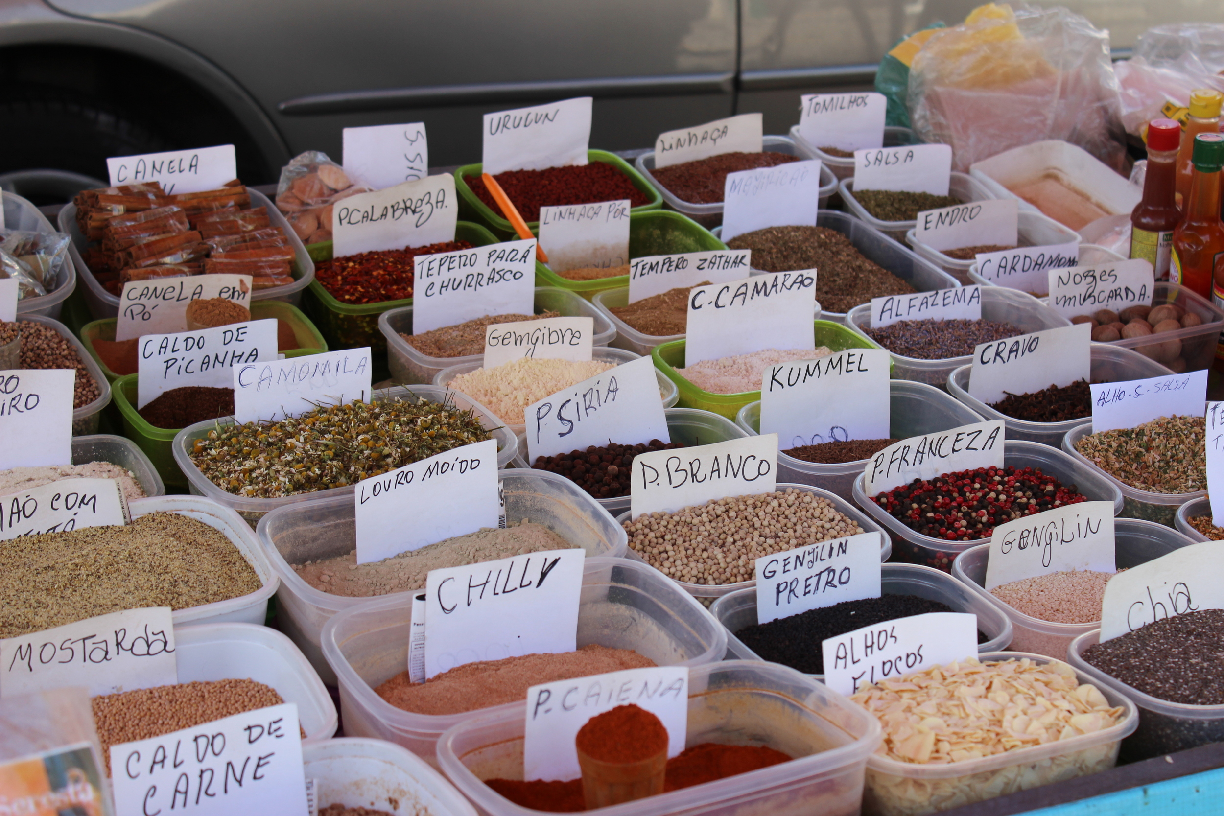 As comidas brasileiras refletem as diferenças regionais? Os nordestinos gostam de comida mais apimentada enquanto os sulistas preferem comida mais suave? É um estereótipo que já mudou?