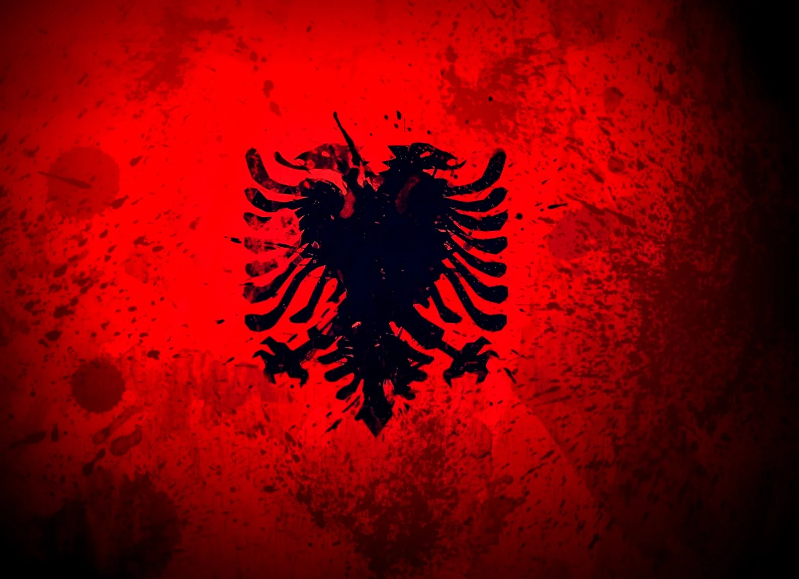 wp_flag_albania_1080_1920x1080_wallpaper_Art HD Wallpaper_2560x1440_www.wallpaperhi.com.jpg