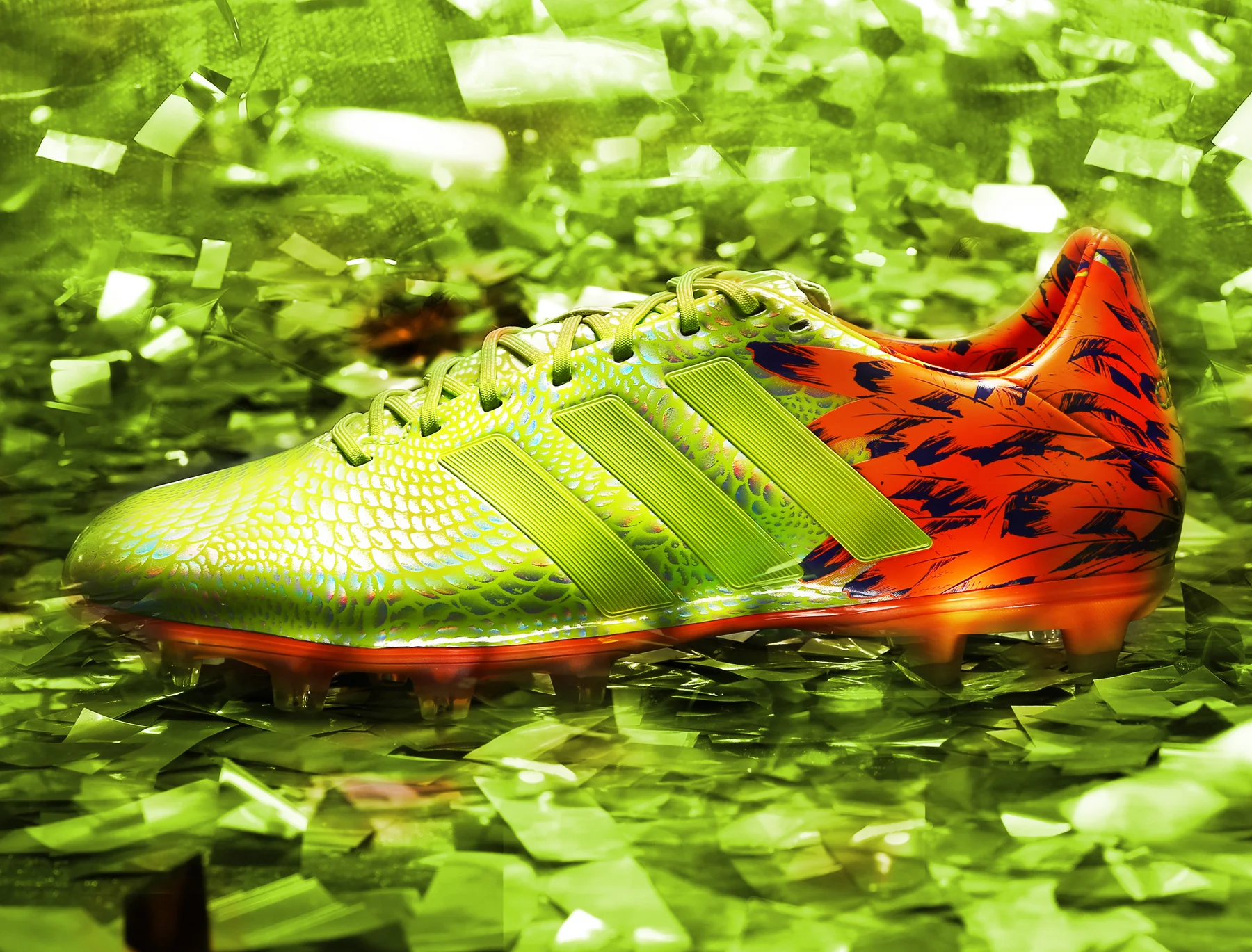 Carnival_Pack_Shoot_01_11Pro_Album_01.jpg