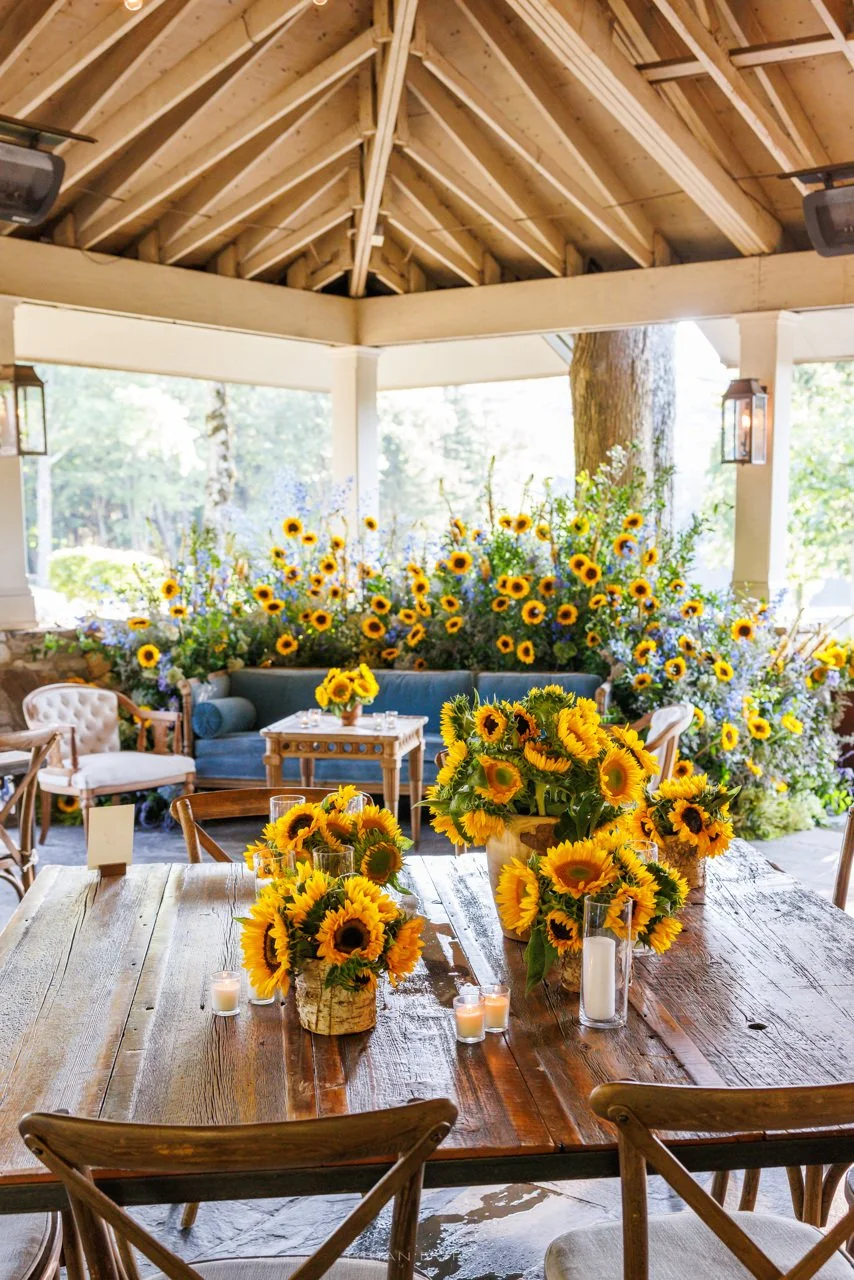 0133 Stein Highlights.jpeg