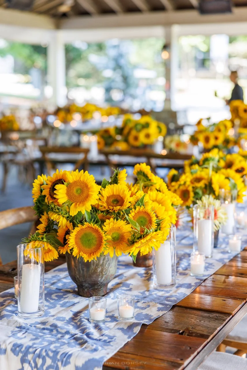 0134 Stein Highlights.jpeg