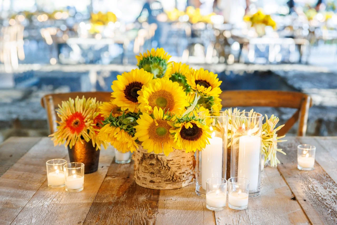 0135 Stein Highlights.jpeg