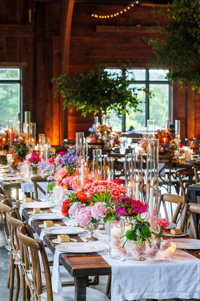 0258 Stein Highlights.jpeg